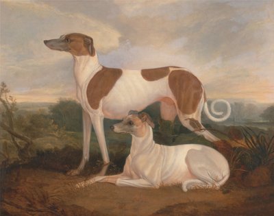 Two Greyhounds in a Landscape by Charles Hancock